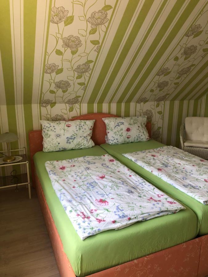 Ferienwohnung Wiskow In جوسلار المظهر الخارجي الصورة
